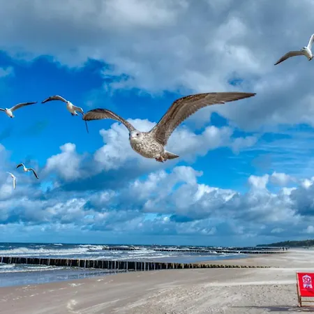 219 - 5d * Niechorze