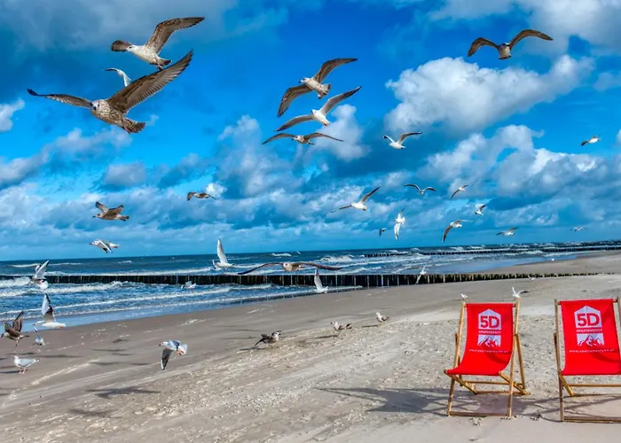 219 Z Basenem, Sauna, Jacuzzi, Przy Samej Plazy - 5d Apartments- 5d Niechorze