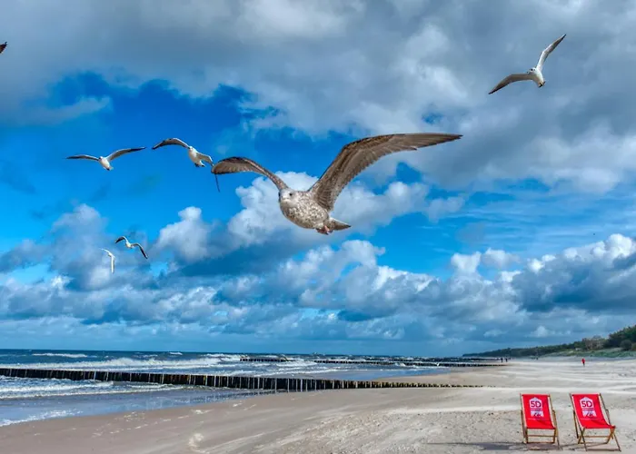 219 Z Basenem, Sauna, Jacuzzi, Przy Samej Plazy - 5d Apartments- 5d * Niechorze